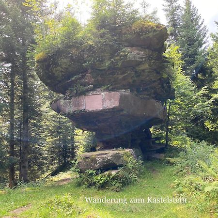 3- 2-1 - Raum - Ferienappartements Dieter Hoffmann Freudenstadt-Kniebis Beim Nationalpark ภายนอก รูปภาพ