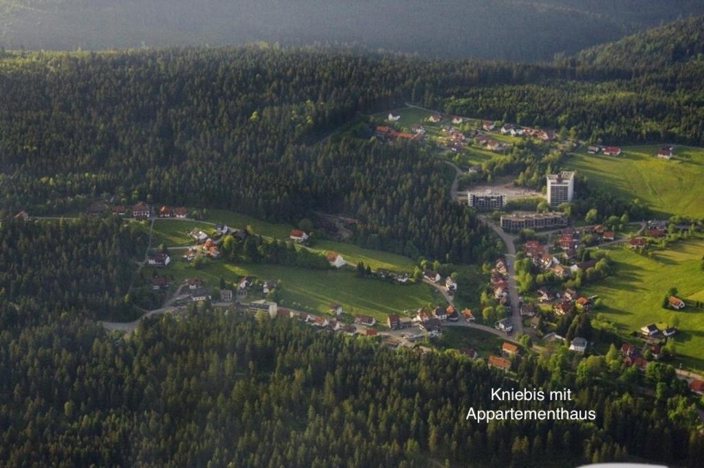 3- 2-1 - Raum - Ferienappartements Dieter Hoffmann Freudenstadt-Kniebis Beim Nationalpark ภายนอก รูปภาพ