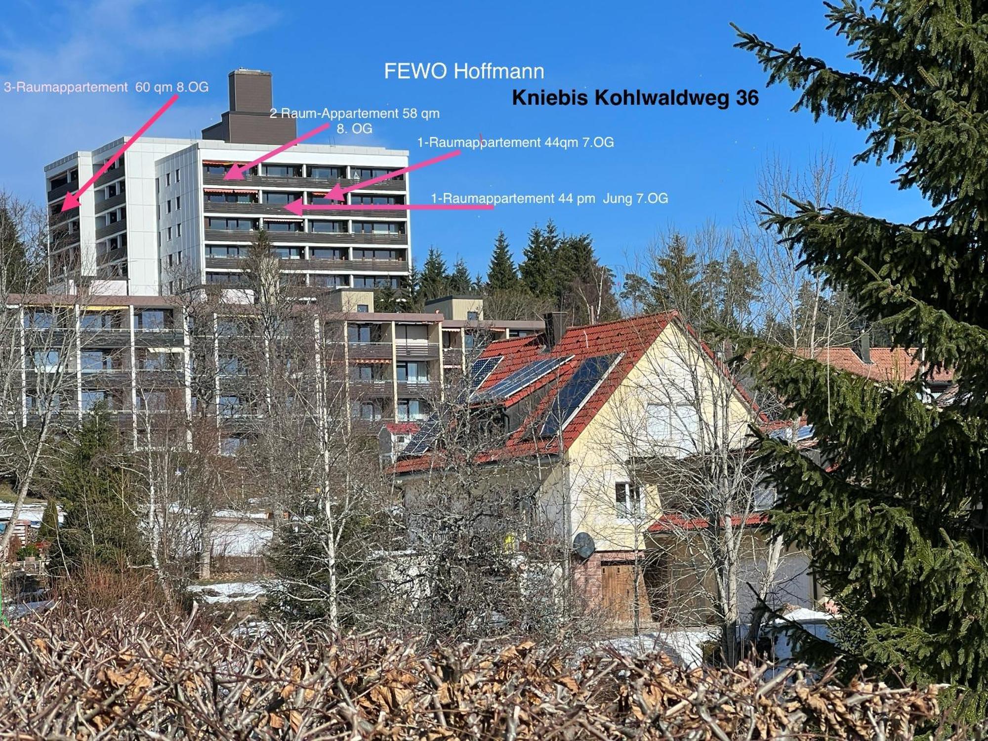 3- 2-1 - Raum - Ferienappartements Dieter Hoffmann Freudenstadt-Kniebis Beim Nationalpark ภายนอก รูปภาพ