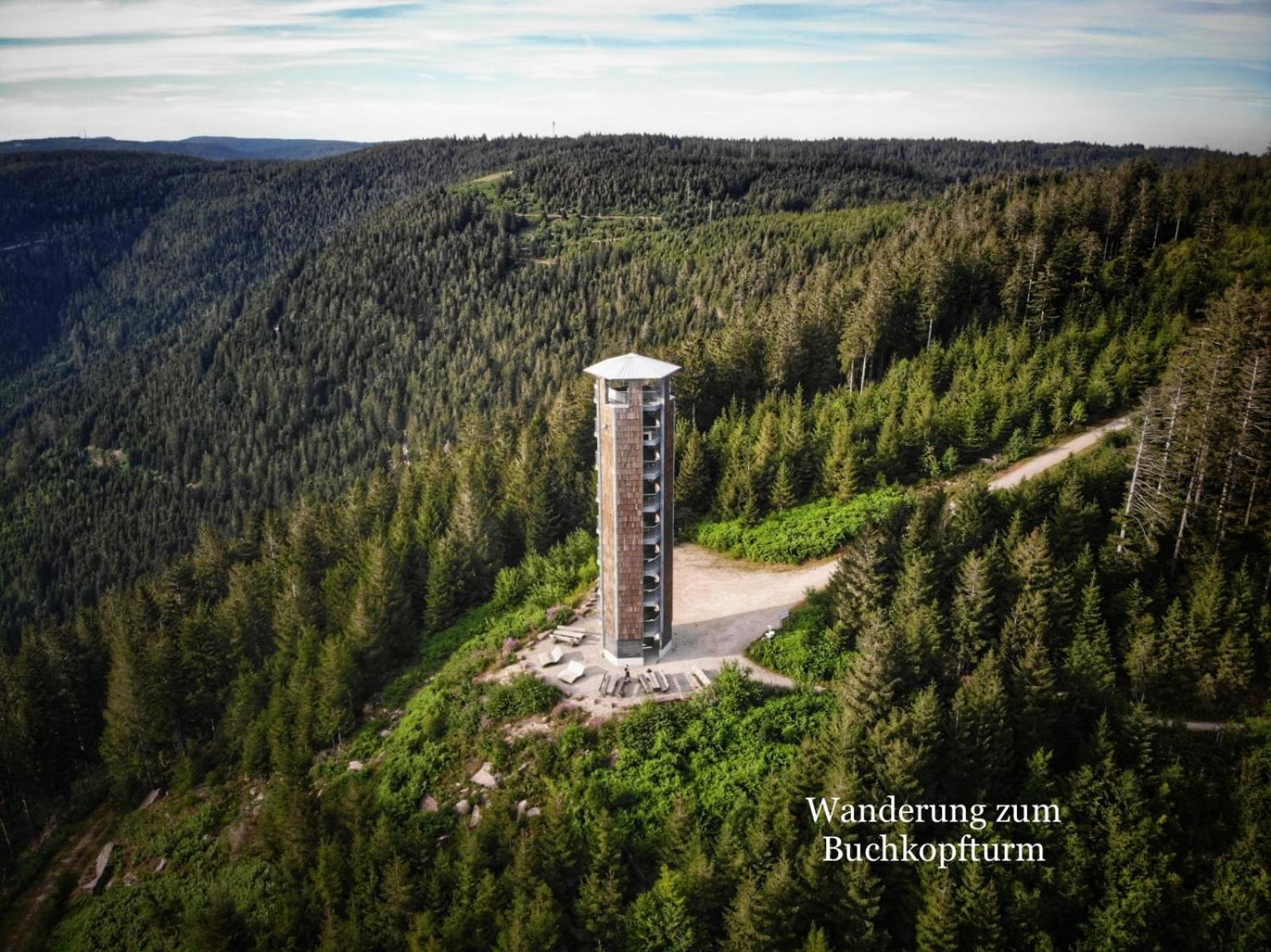 3- 2-1 - Raum - Ferienappartements Dieter Hoffmann Freudenstadt-Kniebis Beim Nationalpark ภายนอก รูปภาพ